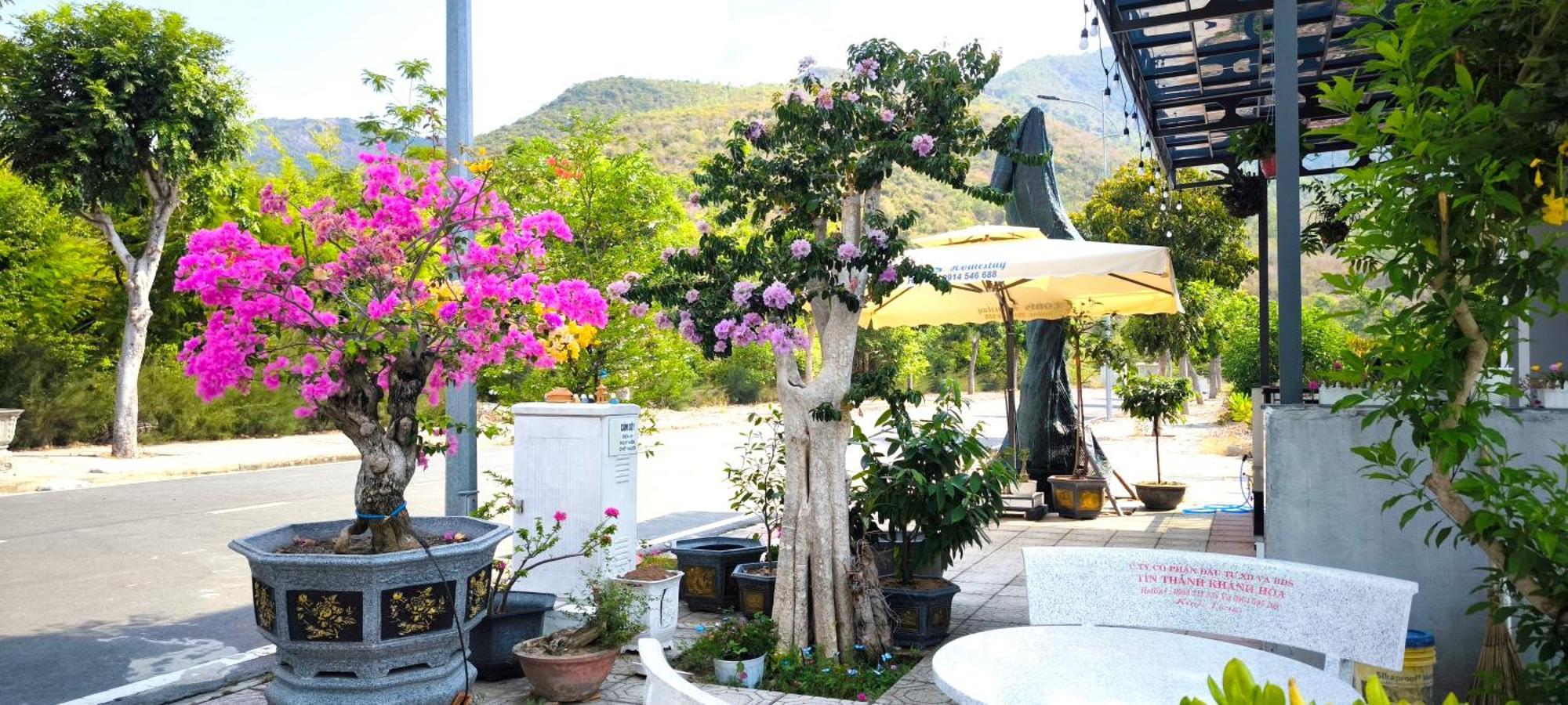 Cam Lam Cobi'S Home מראה חיצוני תמונה